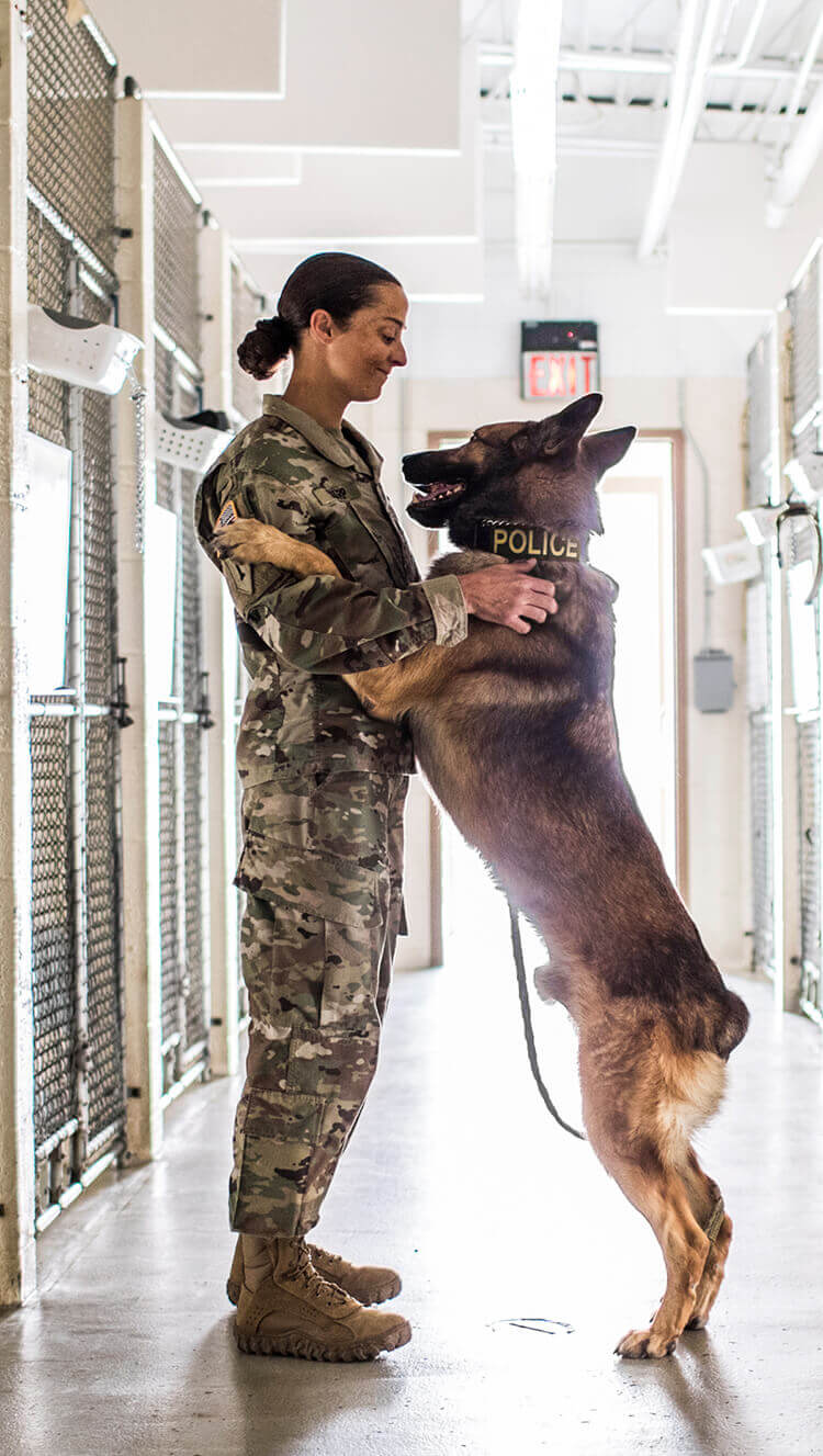Army veterinarian hugging dog.