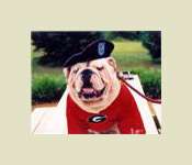 The Bulldog Battalion dates back to the University of Georgia’s early history.